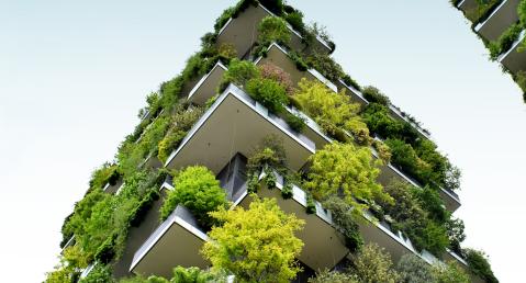 top of buildings with green roofs