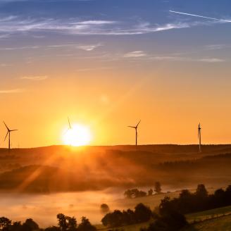 green landscape with wind turbines at dawn 