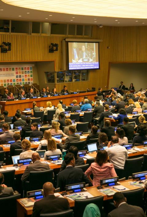 View of the dais during the 2017 HLPF