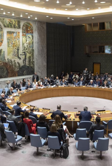 Security Council meeting on The promotion and strengthening of the rule of law in the maintenance of international peace and security. International humanitarian law