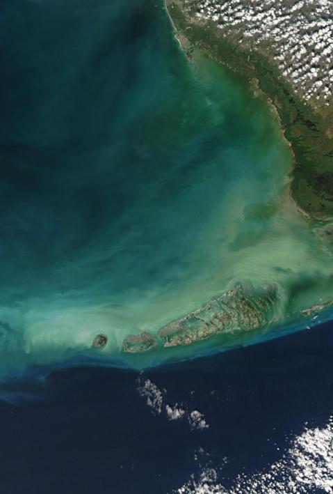 Turbid waters surround southern Florida and the Florida Keys in this true-color Moderate Resolution Imaging Spectroradiometer (MODIS) image taken by the Aqua satellite on December 2, 2003
