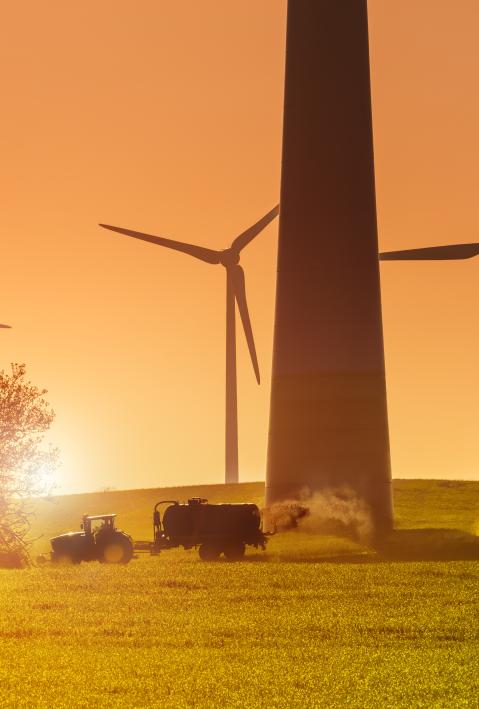 Windräder Windrad Windpark Landwirtschaft Windenergie Sonnenaufgang Gegenlicht lensflare Schlesigw-Holstein