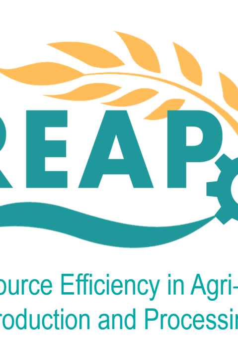REAP logo