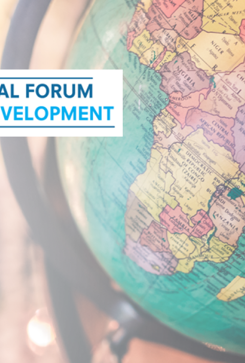 High-Level Political Forum on Sustainable Development 2019 in New York