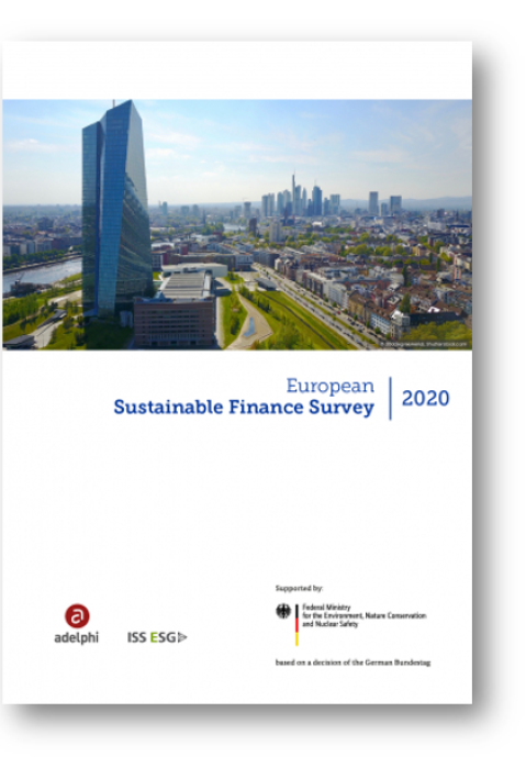 European Sustainable Finance Survey 2020: Report