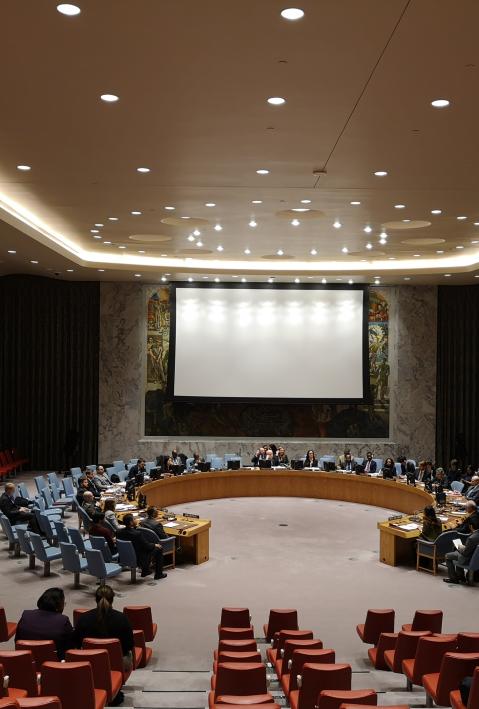 United Nations Security Council Debate on climate-related security risks