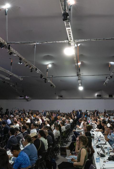 COP30 Plenary