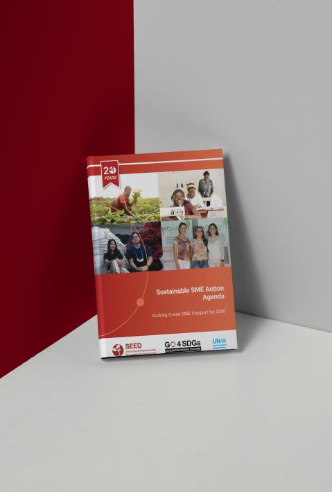 cover of SEED publication on the SME Action Agenda