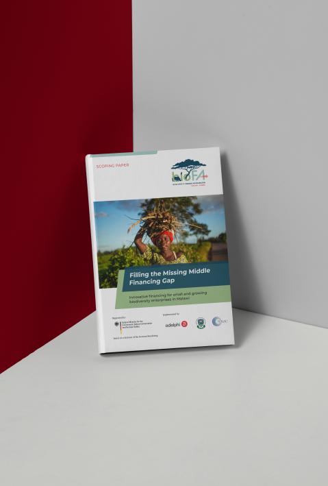 mockup of a publication "Filling the Missing Middle Financing Gap" 