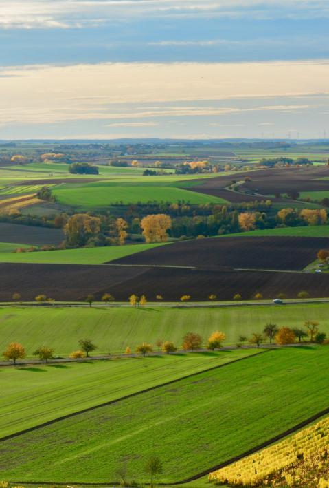 Panoramic view of green, brown and yellow arable fields
