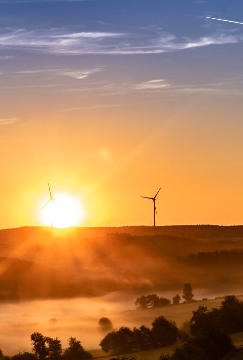 green landscape with wind turbines at dawn 