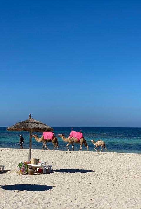 Beach of the island Djerba in Tunesia.
