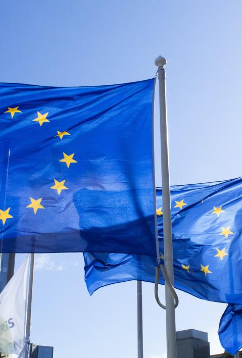 EU-Flaggen wehen vor Wolkenkratzer. 