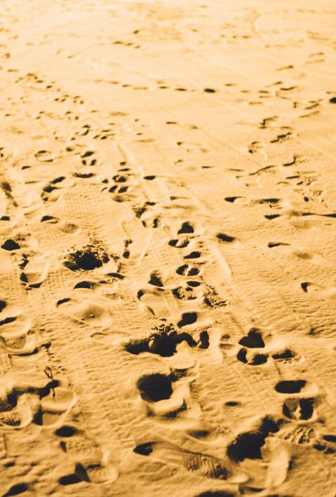 Footprints in the sand. 