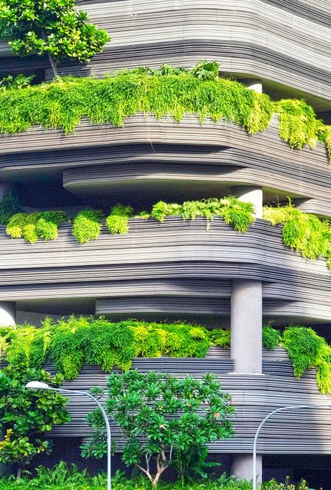 Geb&auml;ude mit gr&uuml;nen Str&auml;uchern und Bl&auml;ttern bedeckt