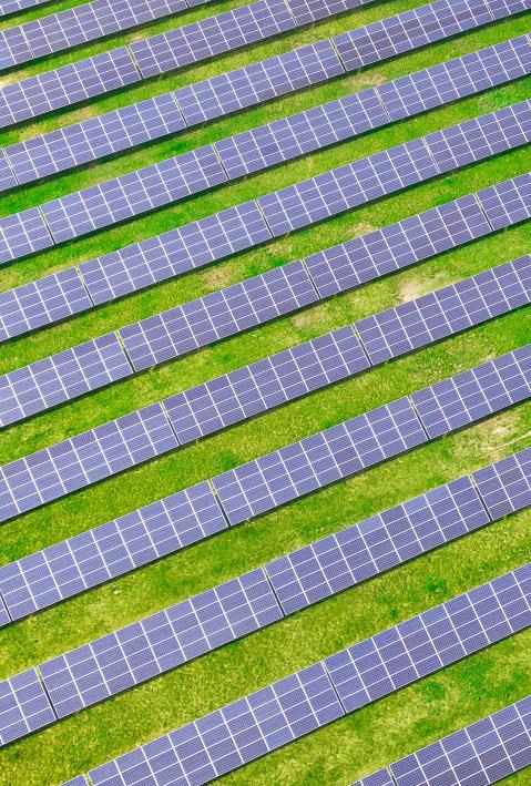 Vogelperspektive auf eine gr&uuml;ne Fl&auml;che voller Solaranlagen