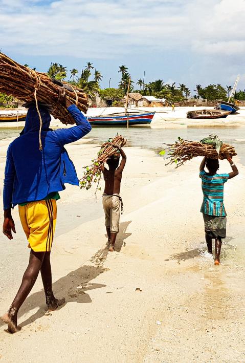 Ein Mann und zwei Kinder tragen Holz am Strand von Mosambik. 