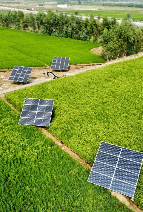 Vogelperspektive auf Solarpaneele in Malakand, Pakistan
