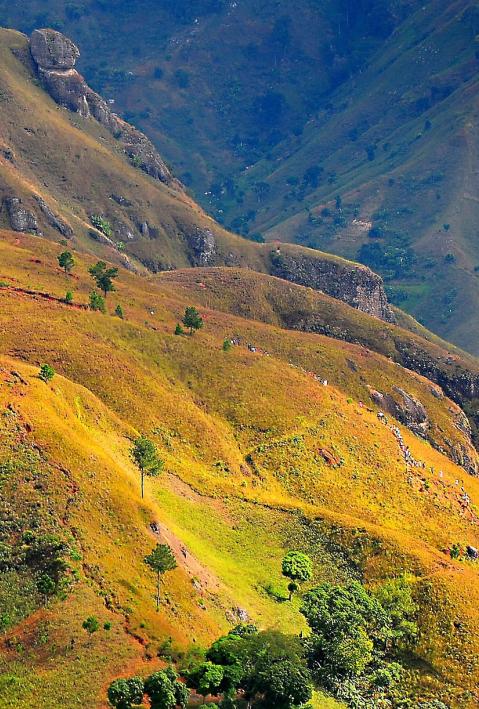 Haiti landscape
