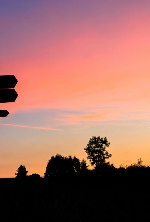 Silhouetten von Wegweiser und Bäumen bei Dämmerung