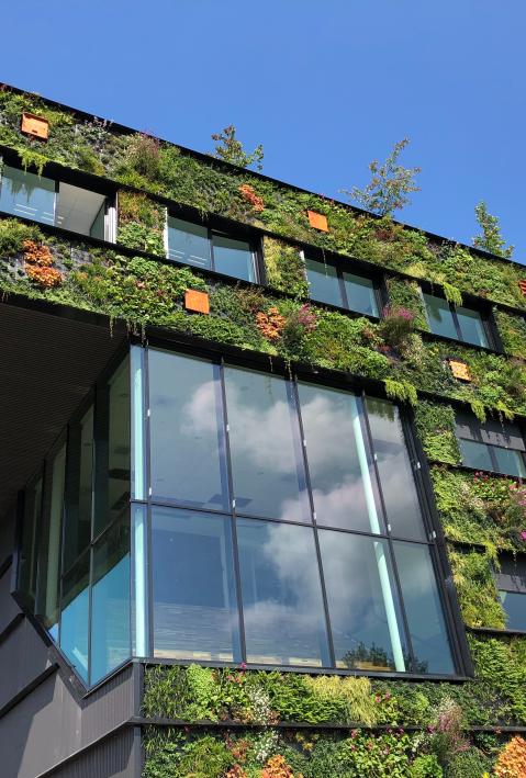 Die Außenwände eines Gebäudes sind mit grünen Pflanzen bepflanzt.