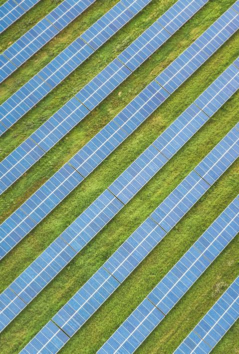 Solarpanels auf grüner Wiese. 