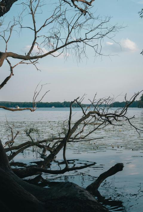 Gew&auml;sser Brandenburg