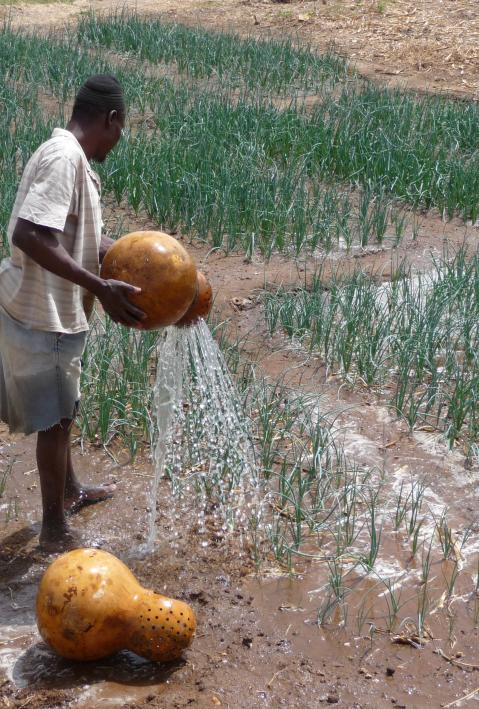Agriculture in Burkina Faso