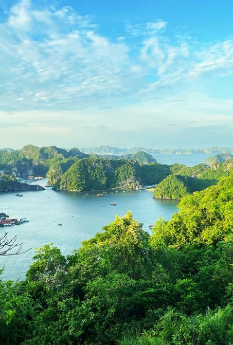 Blick auf ein von Bäumen umgebenes Gewässer in Vietnam, Lan Ha Bucht