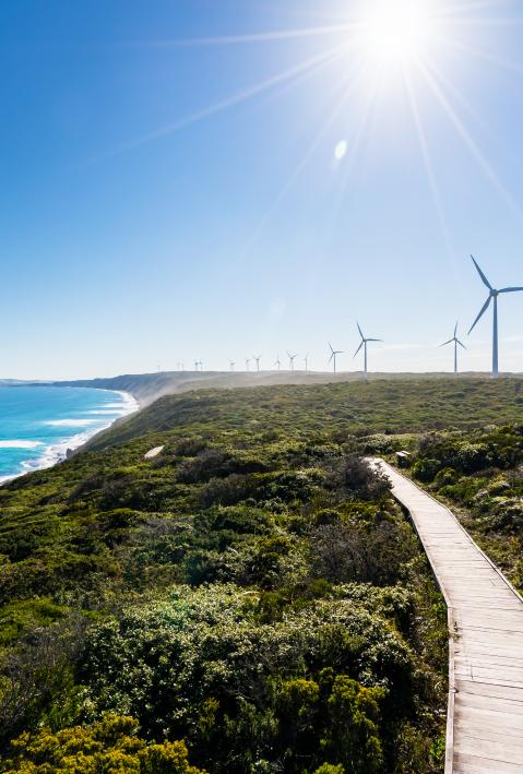 View of the Albany Wind Farm with coastline and bright sunshine