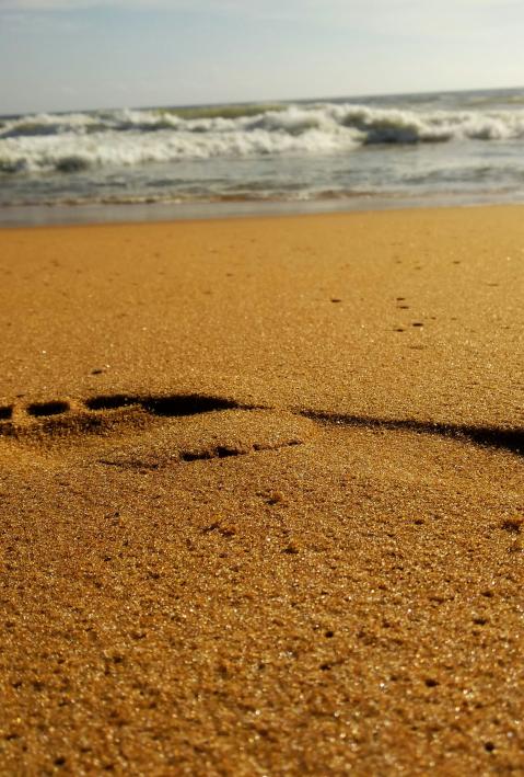 Ein Fußabdruck im Sand am Strand