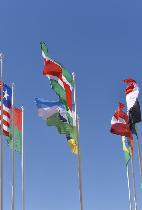 Numerous flags are flying against a blue sky. 