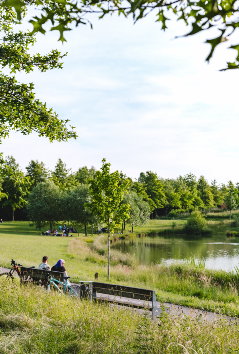 Menschen sitzen auf Bänken in einem Park mit Teich