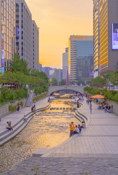 Überblick über einen grünen Teil von Seoul.