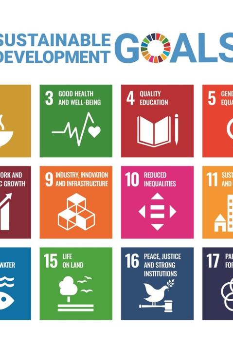 What's next for the 2030 Agenda and the Sustainable Development Goals ...