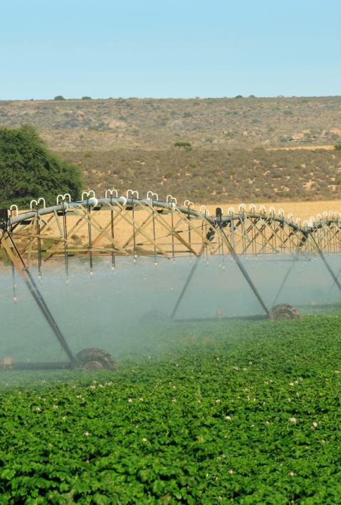 Automatic irrigation system on an agricultural farm in the Western Cape of South Africa