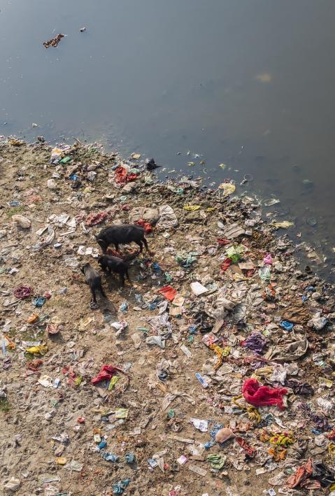 Polluted river banks, India