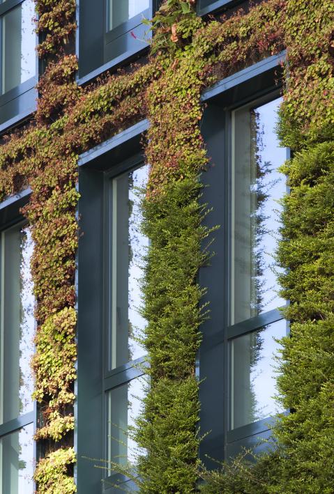 Building with green ecological wall covered with plants in Rotterdam in the Netherlands