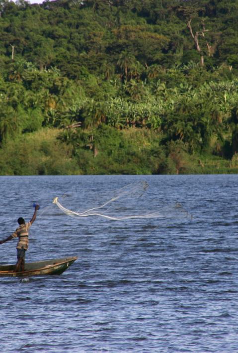 Fischer auf einem Boot werfen ein Fangnetz ins Wasser