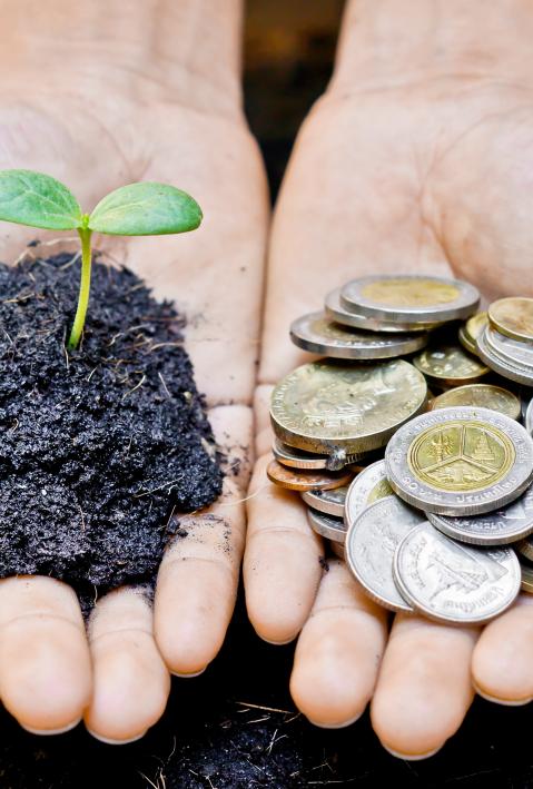 hands holding a tree and coins / making the right choice