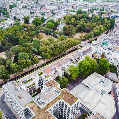 Grünflächen zwischen Düsseldorfs Häusern 