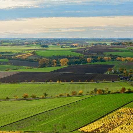 Panoramic view of green, brown and yellow arable fields