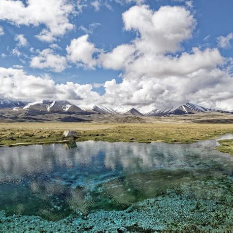 Bild von <a href="https://pixabay.com/de/users/makalu-680451/?utm_source=link-attribution&utm_medium=referral&utm_campaign=image&utm_content=4740798">Makalu</a> auf <a href="https://pixabay.com/de//?utm_source=link-attribution&utm_medium=referral&utm_campaign=image&utm_content=4740798">Pixabay</a>