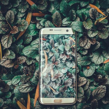 smartphone surrounded by green leaves