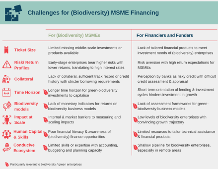 infographic displaying the challenges for biodiversity MSME financing