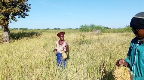 woman in africa standing in field