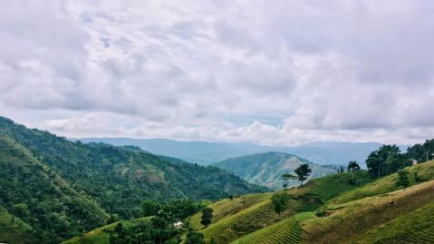 Grüne Landschaften und Agrarflächen auf Haiti