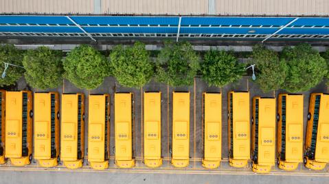 Mehrere gelbe Busse stehen geparkt in einer Reihe, Vogelperspektive