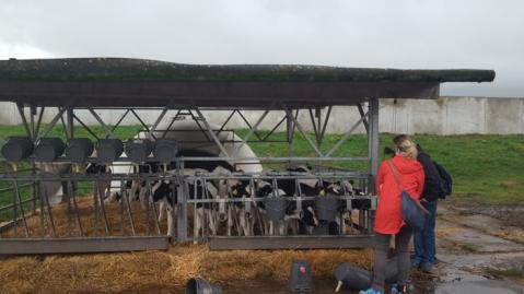 Project members stand in front of a roofed, detached cow shed