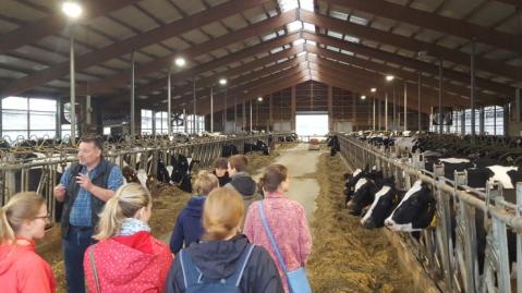 Farmer speaks to a group in dairy cow farm